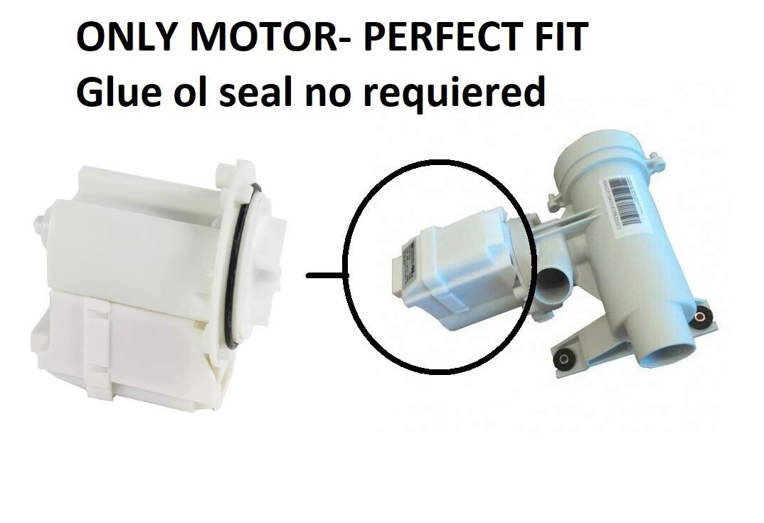 EQUIPMENT DOCTOR US WH23X10028-Commercial Washer Water Pump Motor WH23X10028-JUST Motor and Blades