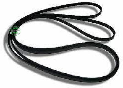 GLOB PRO SOLUTIONS 12001435 785411 12001788VP 1411J 6 MAEL 22002040 CKD3694 Drive Belt