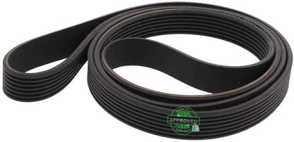 GLOB PRO SOLUTIONS WH08X10024 CKD5623 Drive Belt