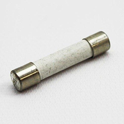 Kenmore Whirlpool Microwave Ceramic Fuse 20A 250V UNIA4273 Fits PS1960938