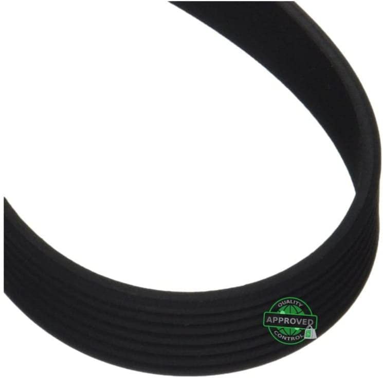 GLOB PRO SOLUTIONS WH08X10024 CKD5623 Drive Belt