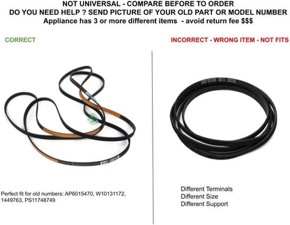 GLOB PRO SOLUTIONS W10131172 1449763 CKD5622 Drive Belt