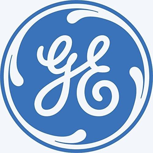 GE WE17M66 Motor Assembly