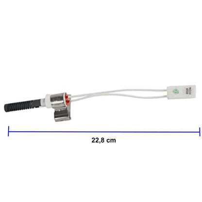 Ignitor Secadora LG WT13DSBP 5318EL3001A
